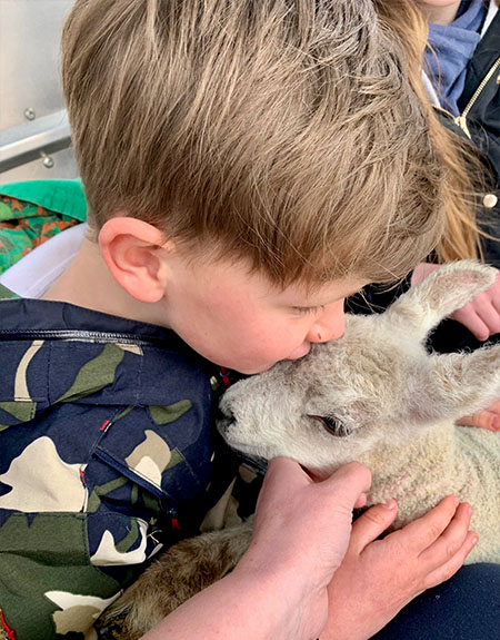Aiden and the Lamb
